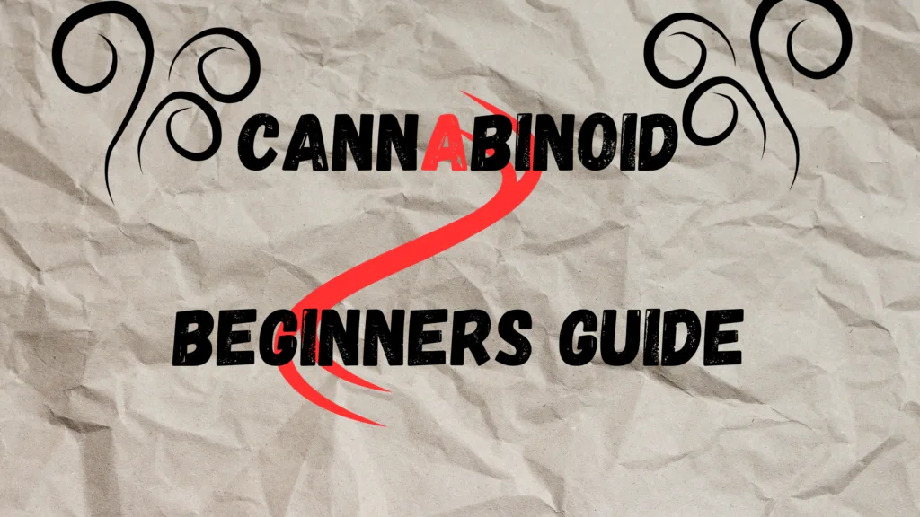 Cannabinoids: Beginners Guide