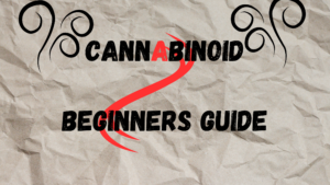Cannabinoids: Beginners Guide