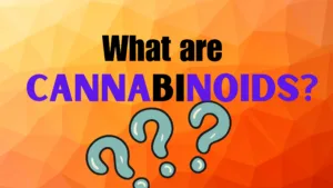 What are Cannabinoids?