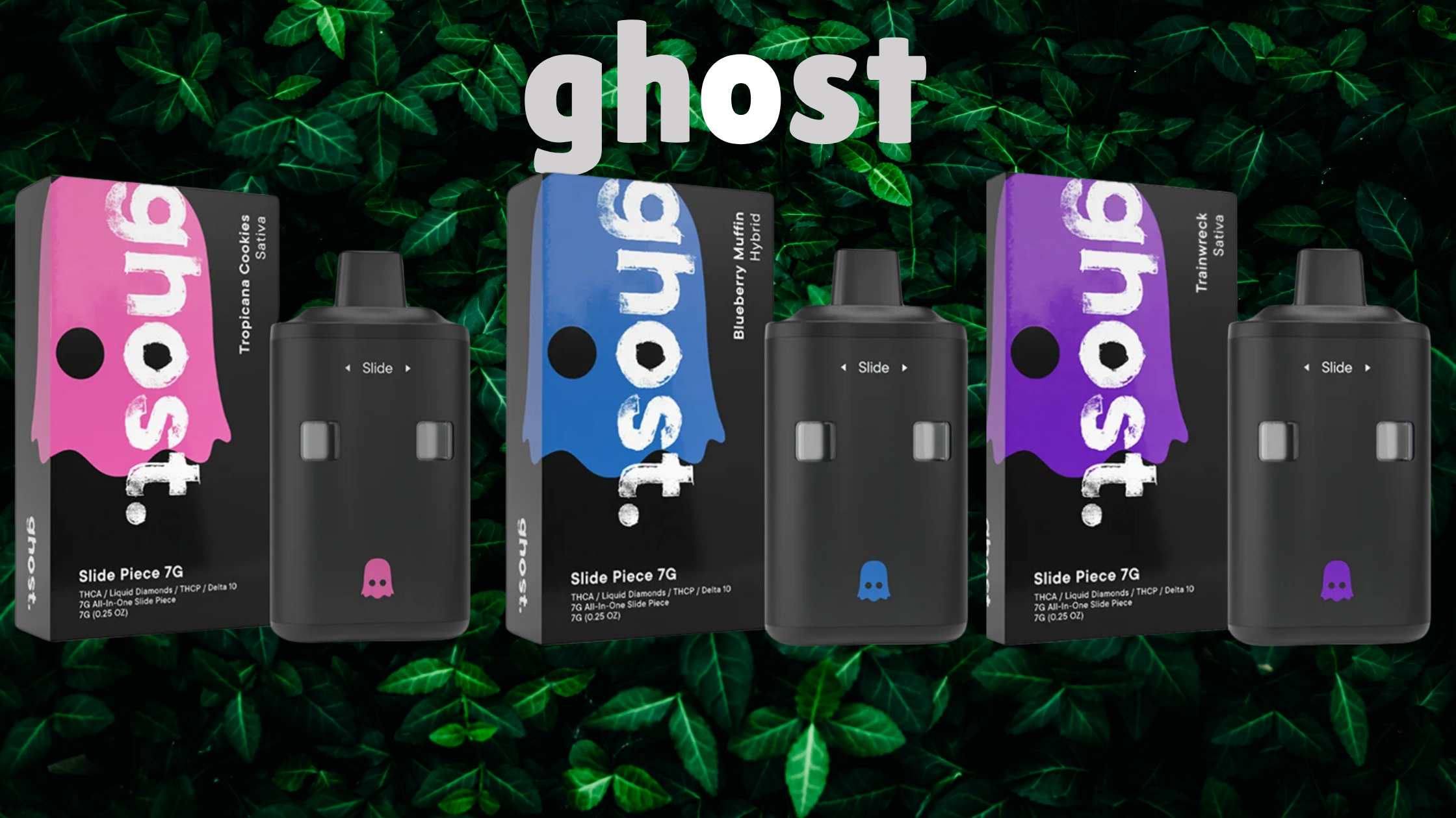 GHOST SLIDE DISPOSABLE 7G
