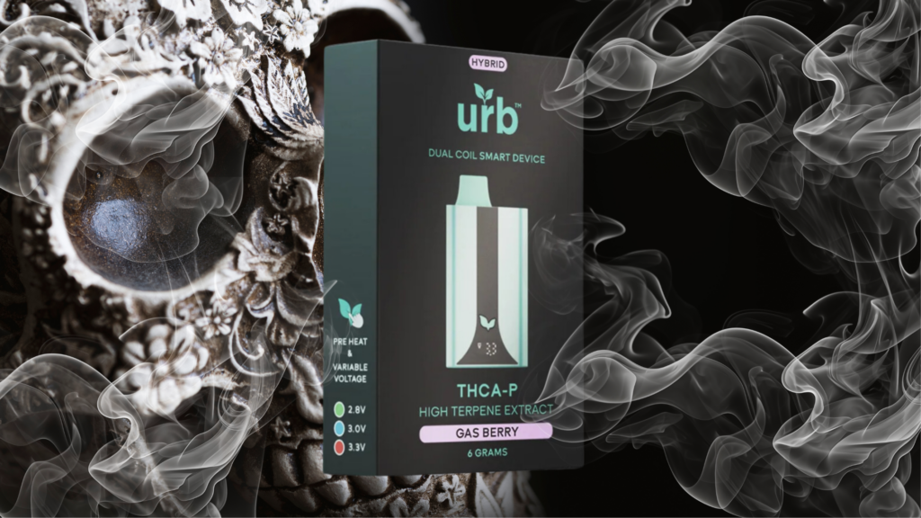 URB Dual Coil Disposables 6g. Gas Berry