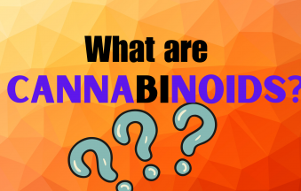 What are Cannabinoids?