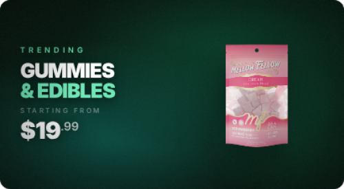 ycwt-banner-category_top-20260405-201249