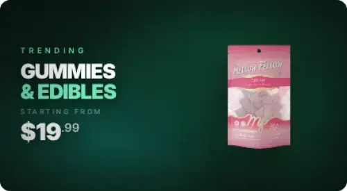 ycwt-banner-category_top-20260405-201249