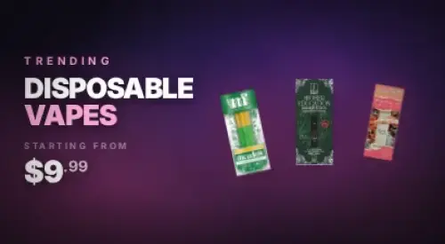 ycwt-banner-category_top-20260419-190145